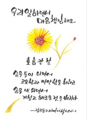 사진갤러리